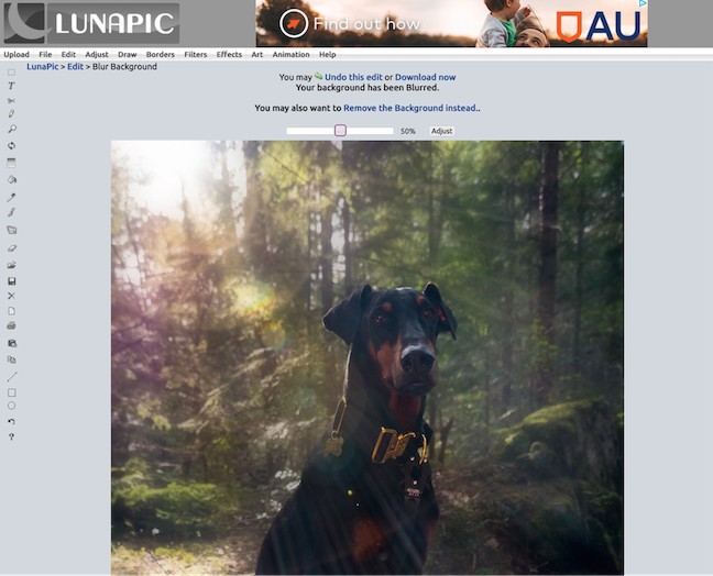 Lunapic, our pick for the best free photo editing app for powerful and one-click editing tools
