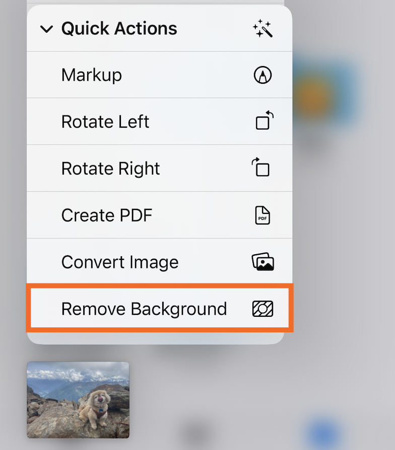 Expanded dropdown that appears if you tap and hold an image in the Files app. The remove background option is highlighted.