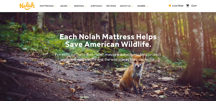 social-responsibility-in-business-05-nolah-mattress Screenshot from Nolah Mattress