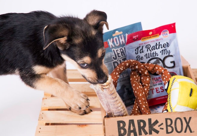 A BarkBox chew toy can survive even the chompiest of chompers.