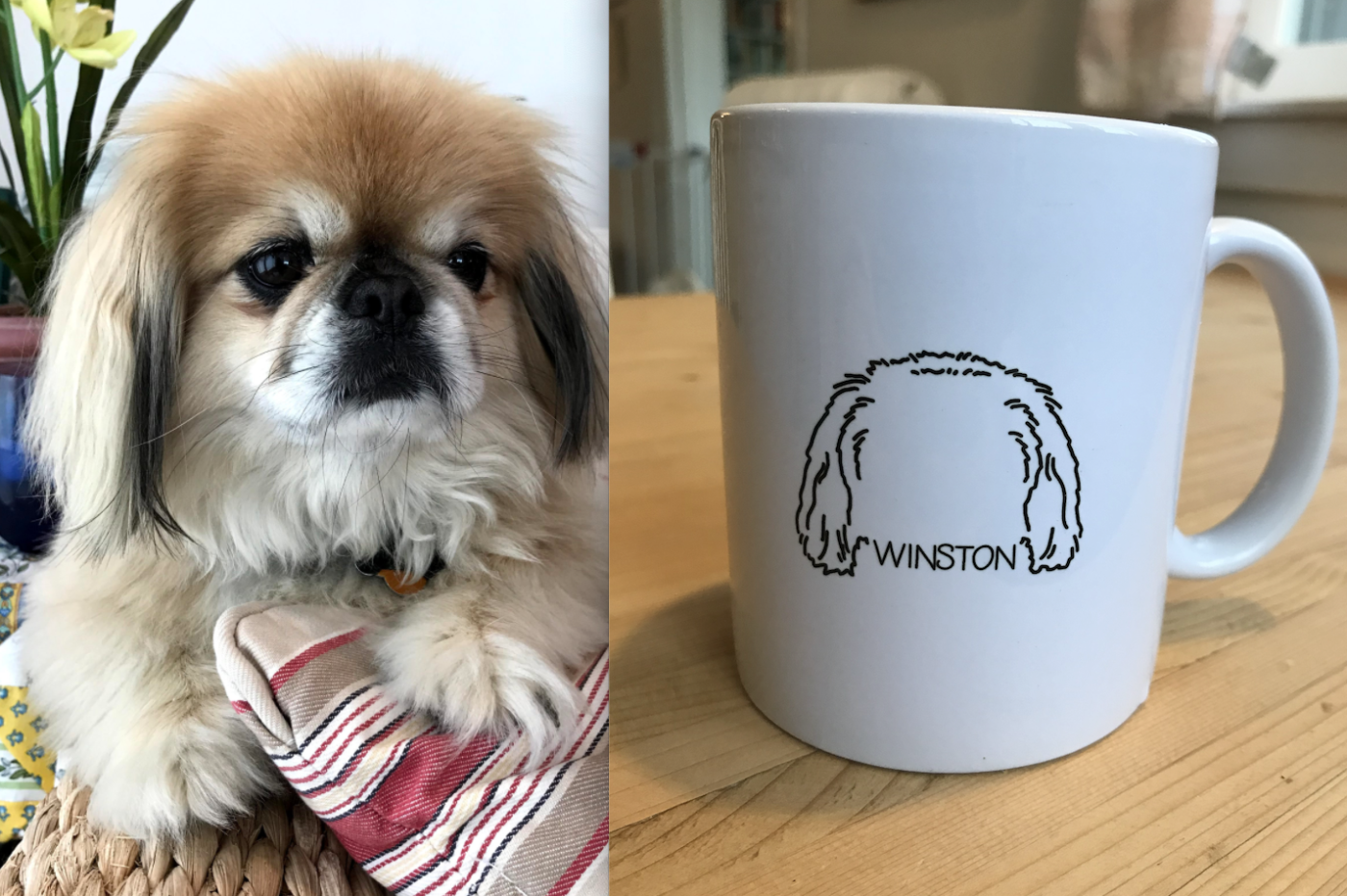 At left, a photograph of a dog named Winston. At right, a mug with an outline of Winston's head and the text "Winston".