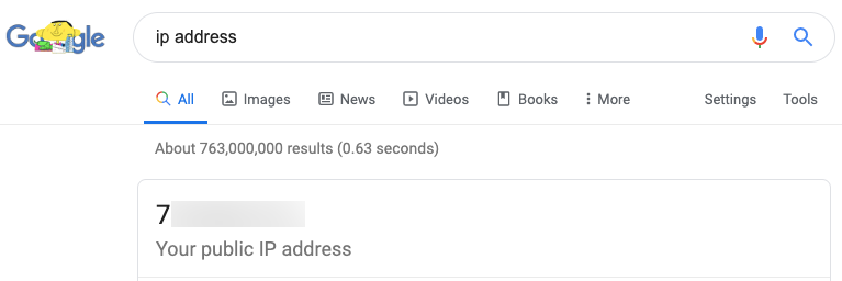 find IP address with Google Search