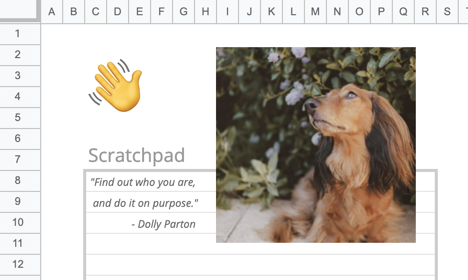 A picture of a dog in the spreadsheet