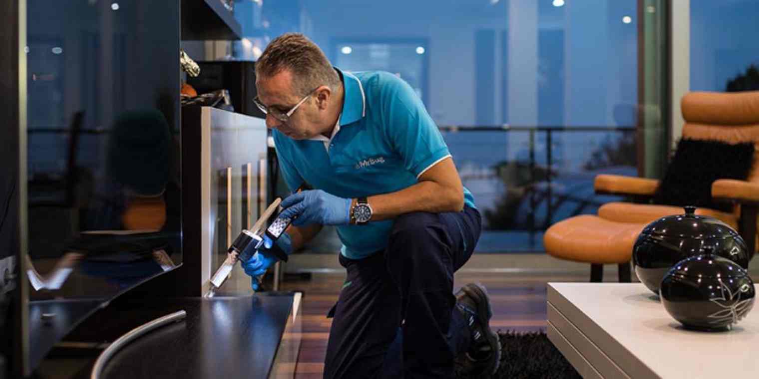 build-google-sheets-databases primary img