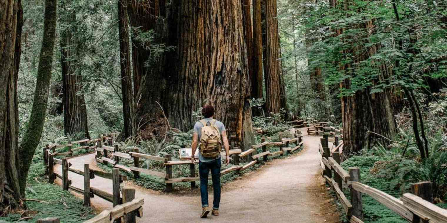 difficult-decisions primary img