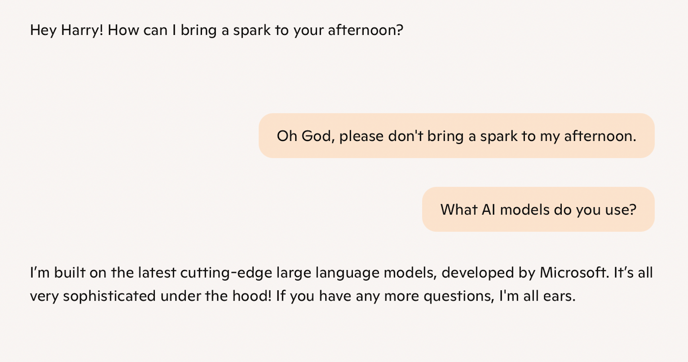 Microsoft Copilot asking Harry how it could bring a spark to his afternoon