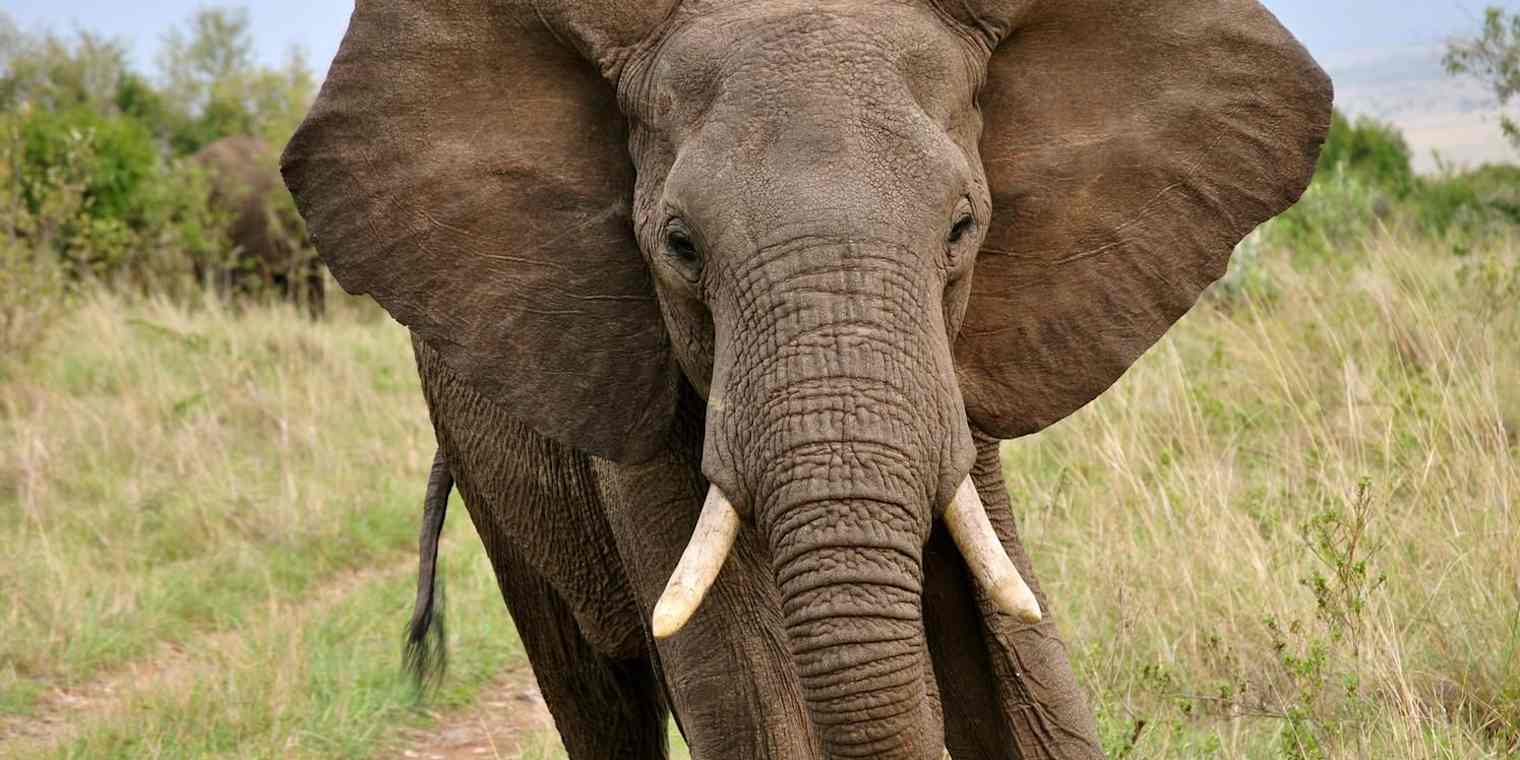 guide-to-user-testing primary img