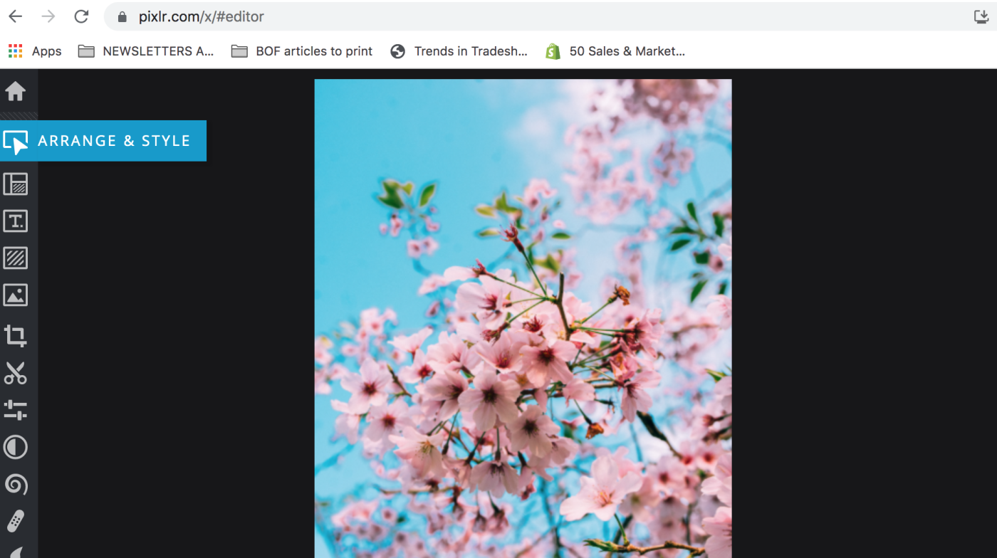 A screenshot of Pixlr from Bastet Noir