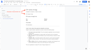 Google Docs Template Gallery