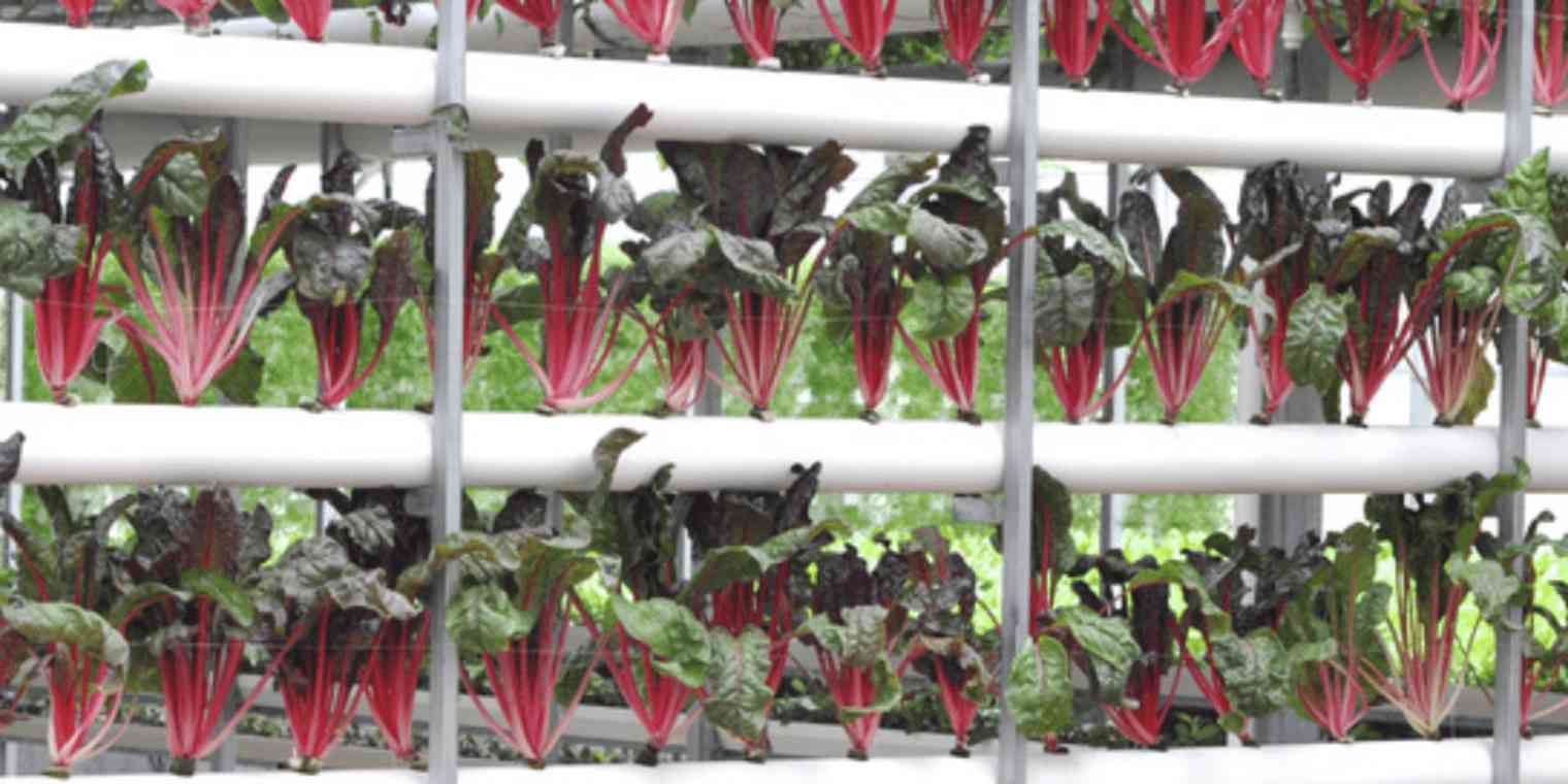 print-automatically-google-clo primary img