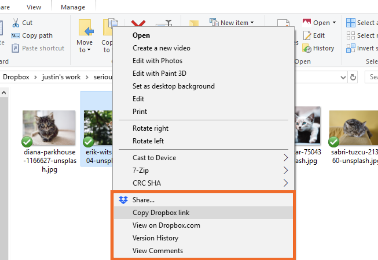 Dropbox copy link Windows
