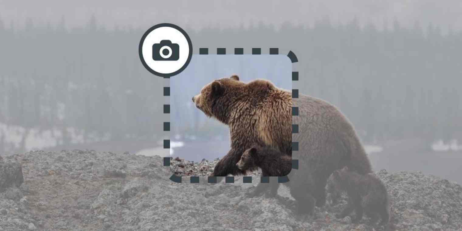 screenshot-windows primary img