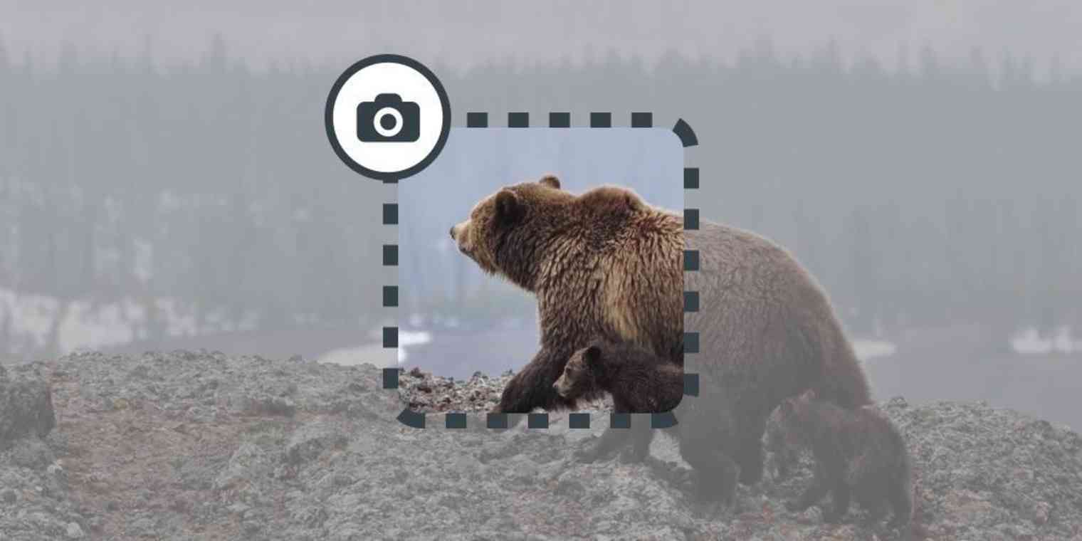 How to take screenshots on a laptop: 10 ways to do it on any