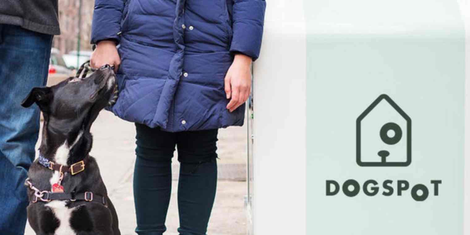 squarespace-forms-hubspot-cont primary img