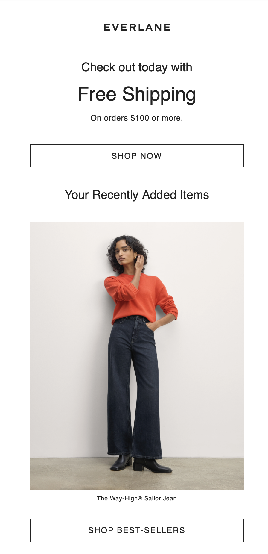 Abandoned cart email from Everlane.