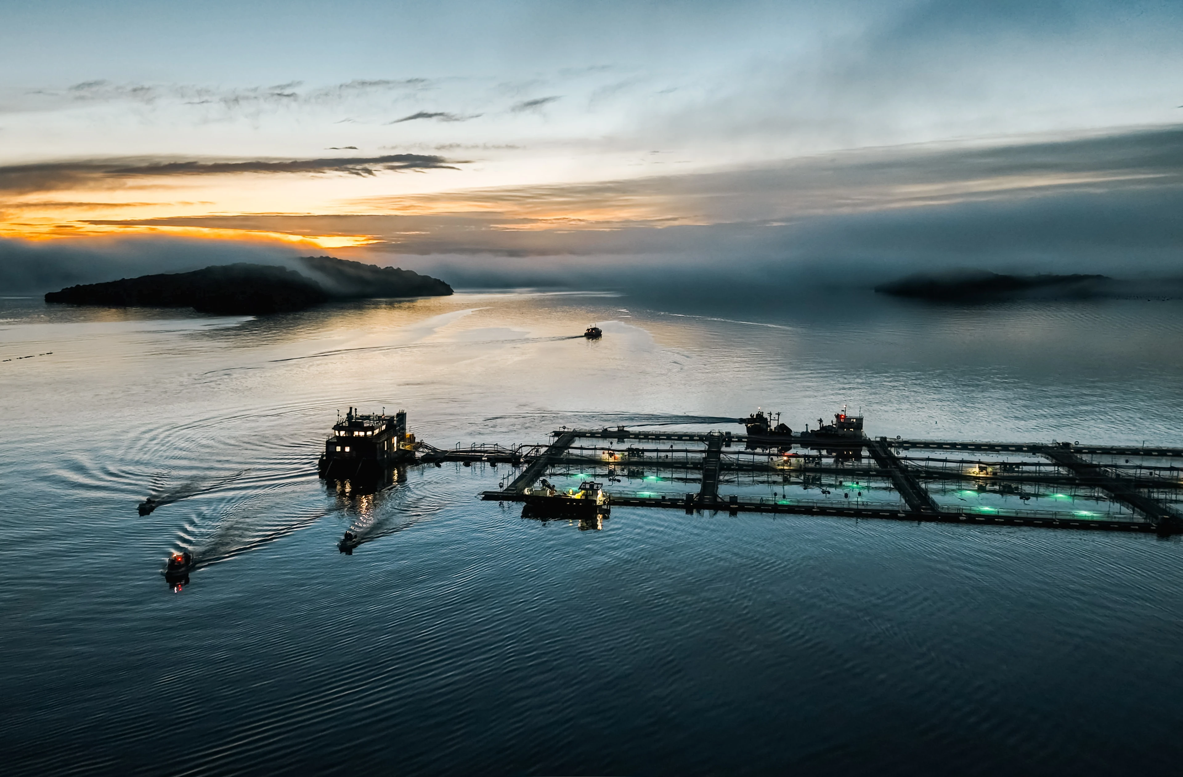 Big Glory Bay Salmon Farm at Dawn