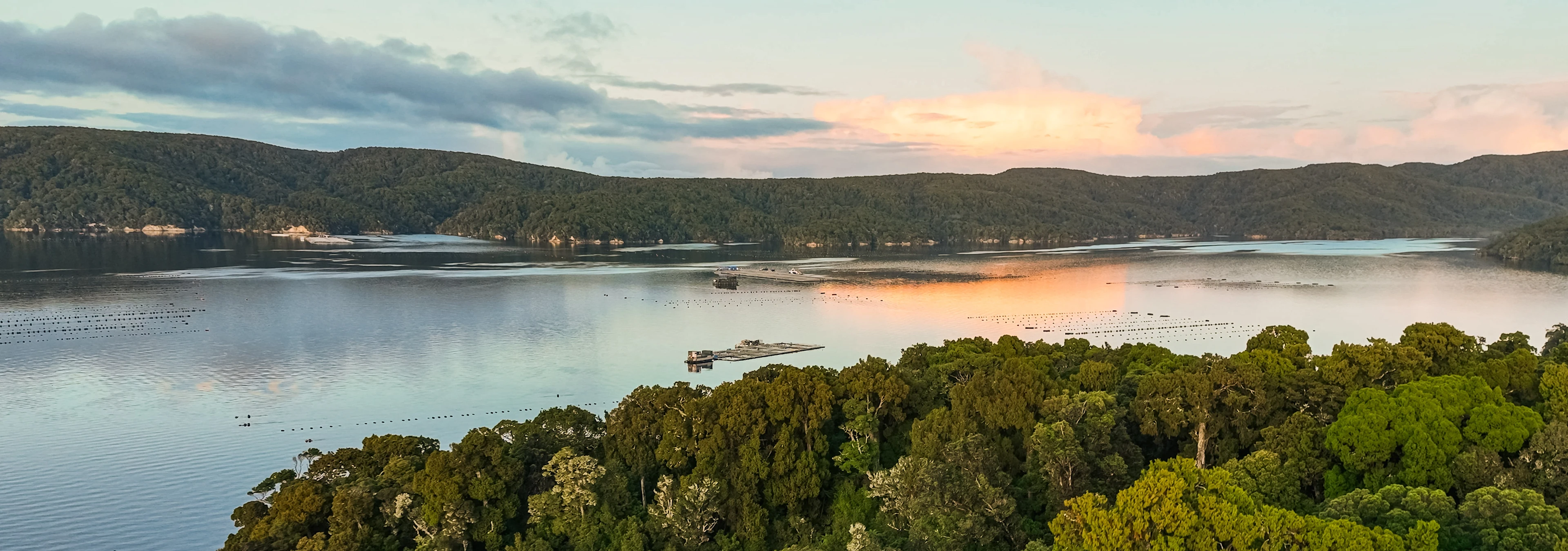 Big Glory Bay Stewart Island