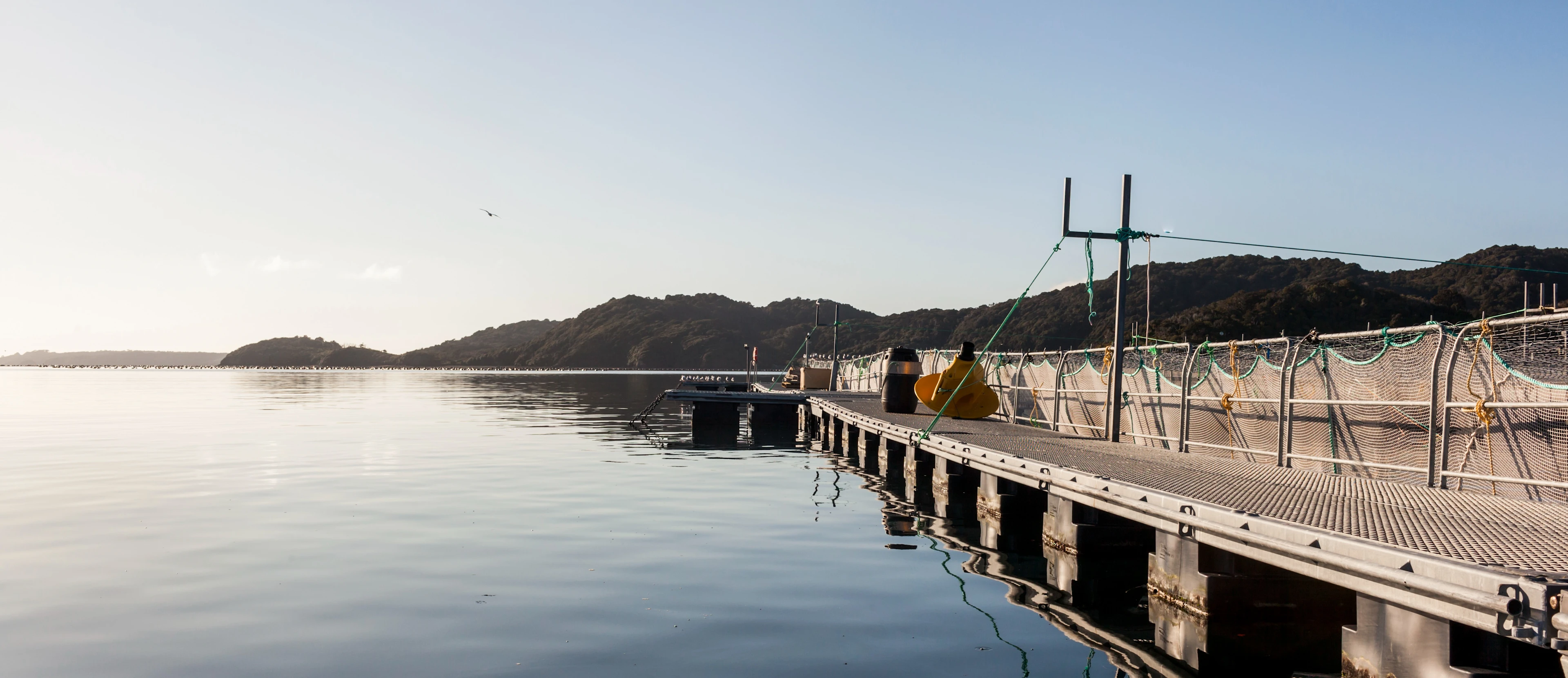 Big Glory Bay Wharf