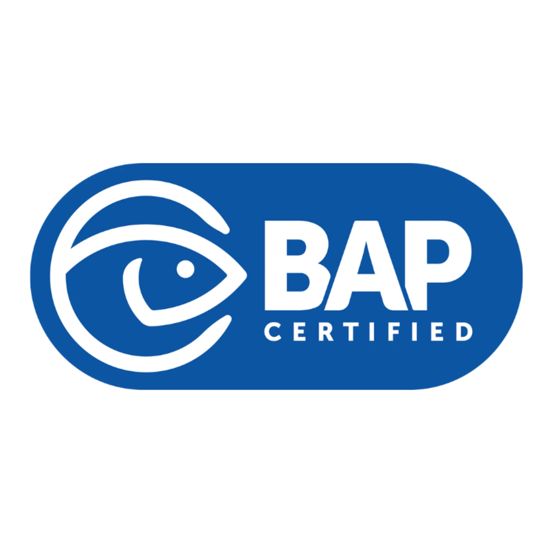 BAP Logo