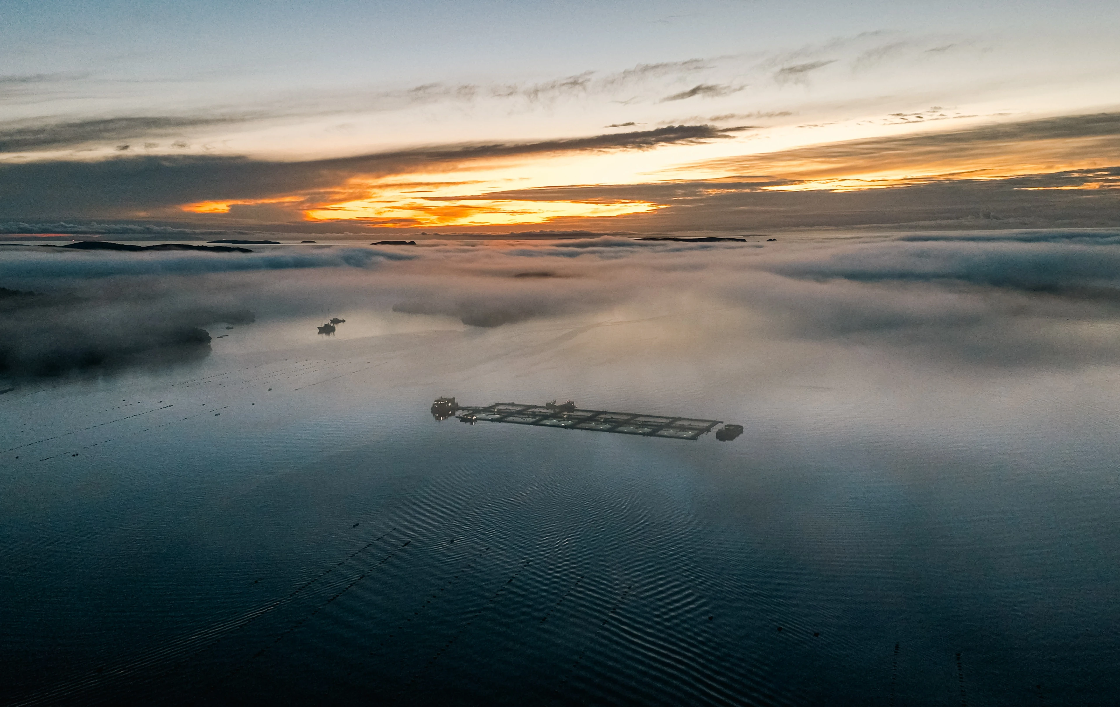 Big Glory Bay Salmon Farm at Dawn