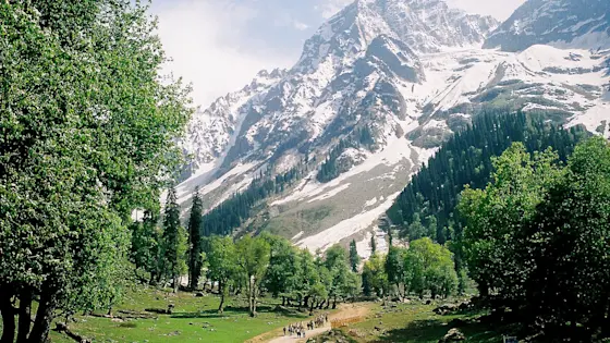Explore Sonamarg: Affordable Taxi Services by TravelTaxi