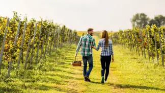 Embrace romantic charm with TravelTaxi - Tuscany's vineyard honeymoon escapes.