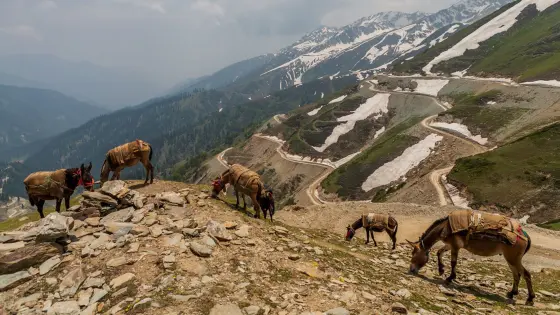 Discover local culture at Kishtwar Bazaar with TravelTaxi's guided market tours in Jammu and Kashmir.