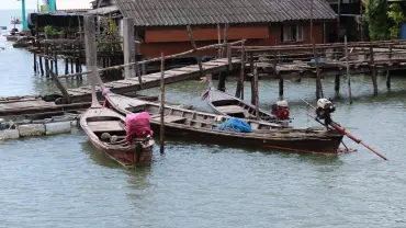 Explore the mangrove creeks of Mayabunder with TravelTaxi's guided nature tours in Andaman.