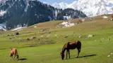 Explore Sonamarg: Affordable Taxi Services by TravelTaxi