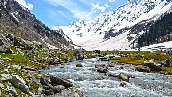 TravelTaxi: Your Reliable Travel Partner in Sonamarg