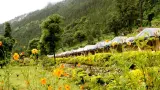 Experience spiritual serenity at Vishwanath Temple with TravelTaxi's guided tours in Uttarkashi, Uttarakhand.