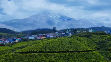 Experience the misty hills of Munnar with TravelTaxi's guided tours in Kerala's tea plantation haven.