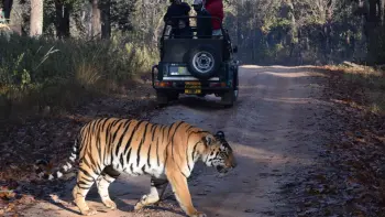 Explore the ancient Bandhavgarh Fort with TravelTaxi's guided historical tours in Bandhavgarh National Park, Madhya Pradesh.