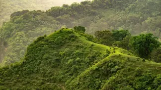 Explore the scenic Sitamata Wildlife Sanctuary with TravelTaxi - A lush green retreat in the hills of southern Rajasthan.