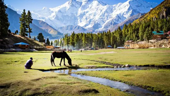 Explore adventurous Aru Valley with TravelTaxi's trekking tours from Pahalgam, Kashmir.