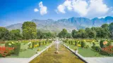 Explore Mughal splendor at Shalimar Bagh with TravelTaxi's heritage tours in Srinagar, Kashmir.