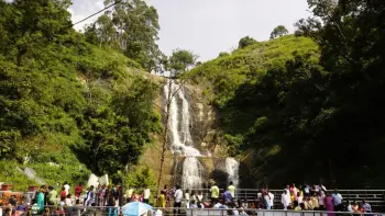 Discover exotic flora at Ooty Botanical Gardens with TravelTaxi's guided nature tours in Tamil Nadu.