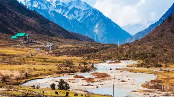 Explore vibrant Rhododendron forests with TravelTaxi's spring nature tours in Chopta, Uttarakhand.