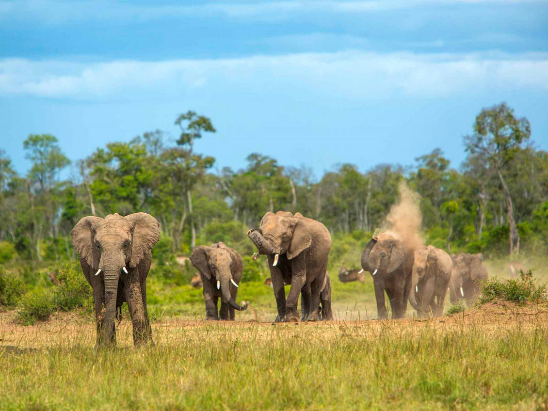 3PC Africa Kenia MDE 0001 Livello 2