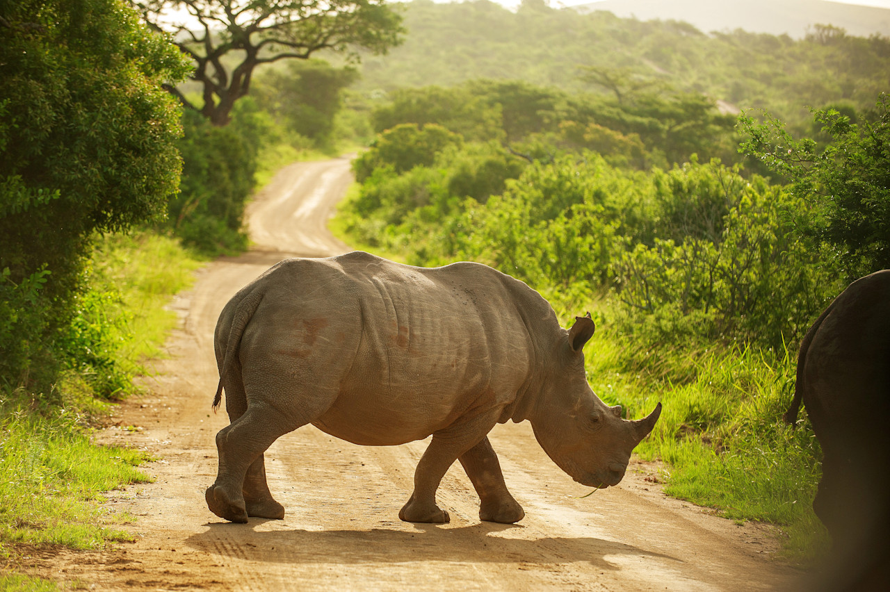 KwaZulu-Natal