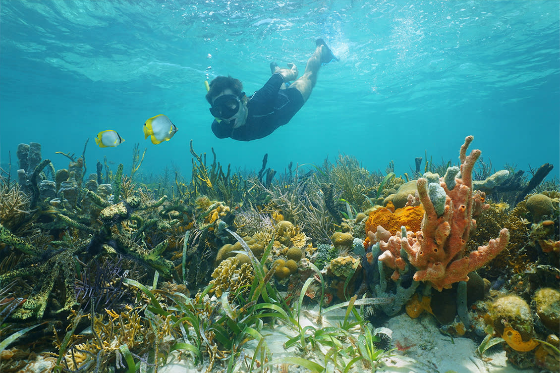 Snorkeller in clear turquoise water, coral reef below. Whitsunday Islands. Daylight. People- yes, underwater