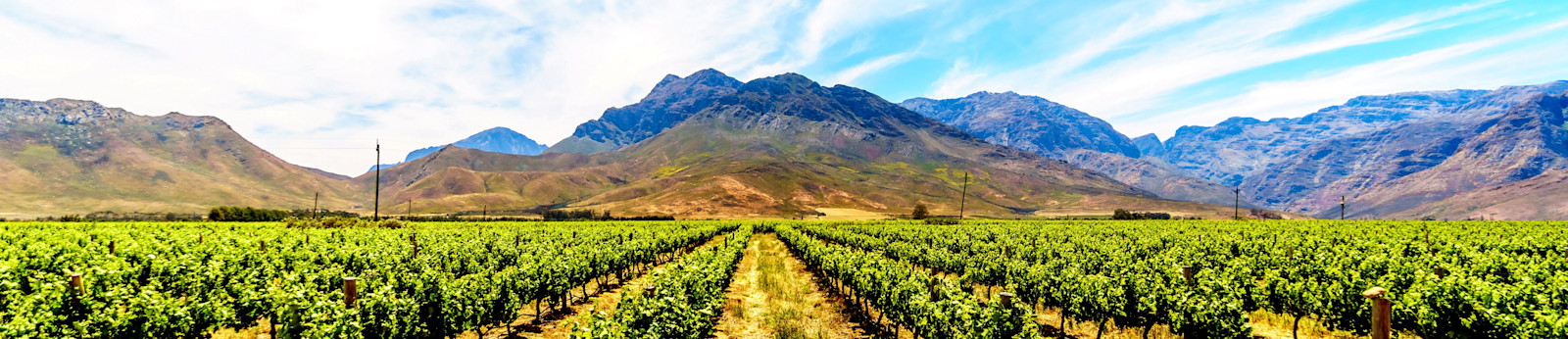 Zuid-Afrika: een baie mooi land voor je volgende droomreis
