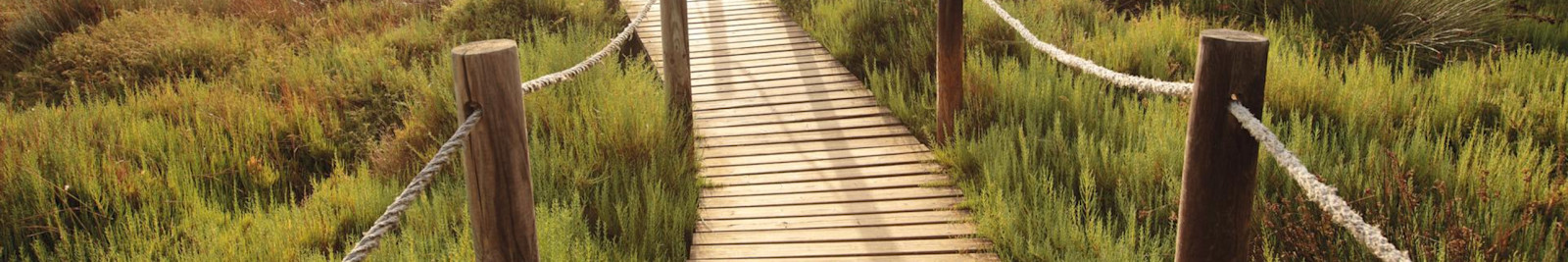 Design your own tour