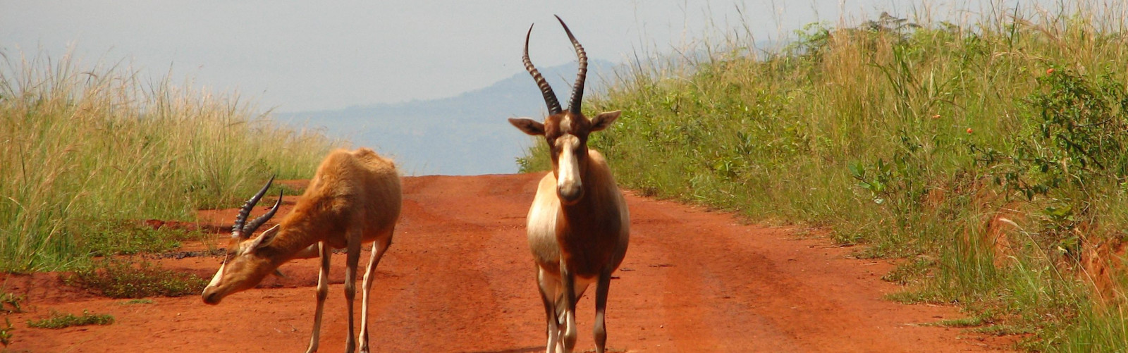 Eswatini