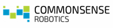 Commonsense Robotics