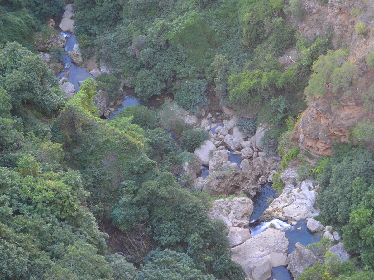 Ronda se encuentra en el corazón de la Serranía de Ronda, a unos 100 km