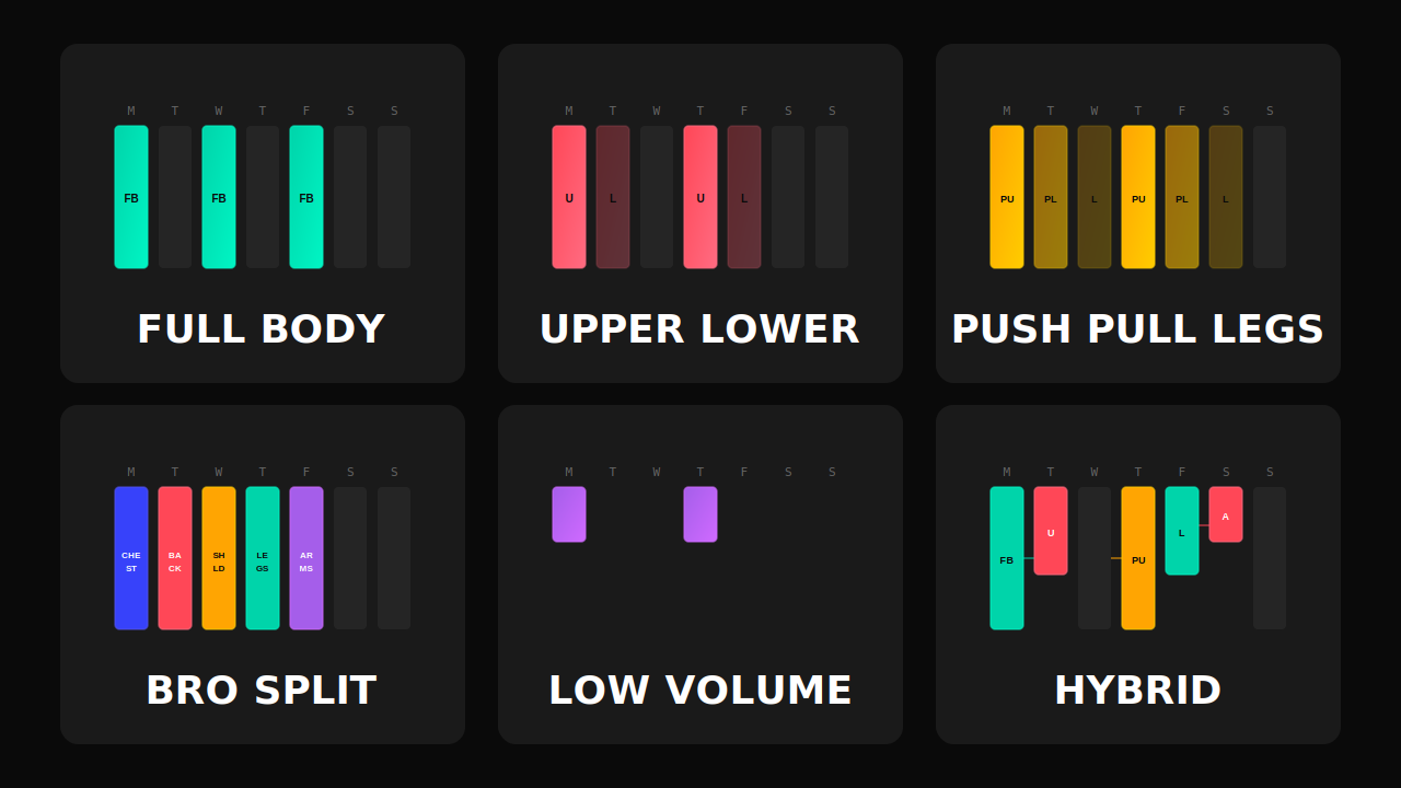 The Best Workout Split for Your Schedule: A Complete Guide