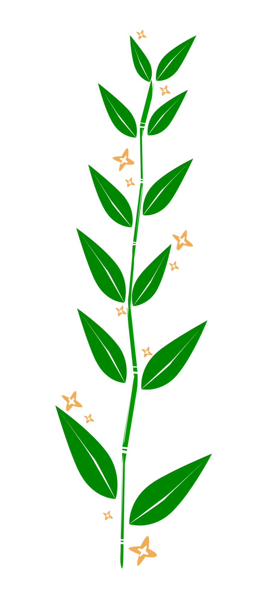 Starry Flower Vine