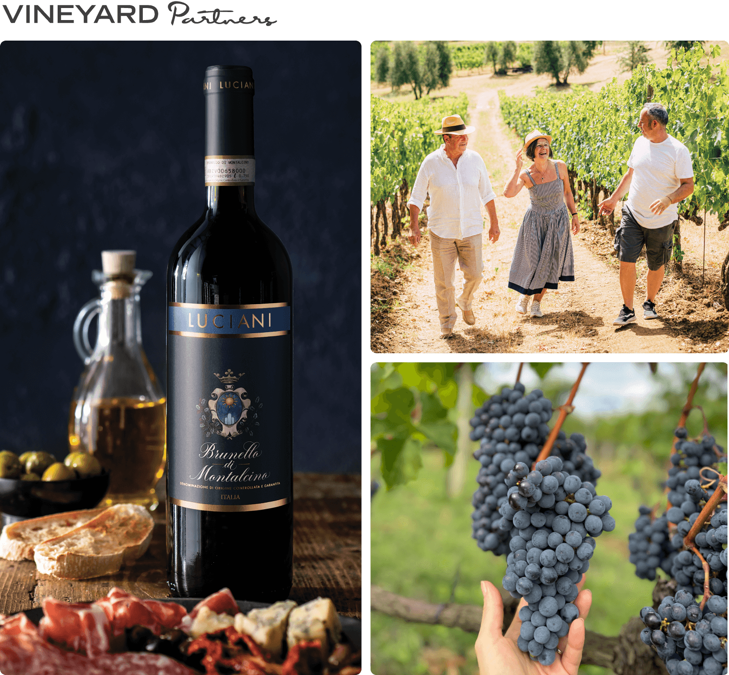 VP Brunello Hero Desktop Image