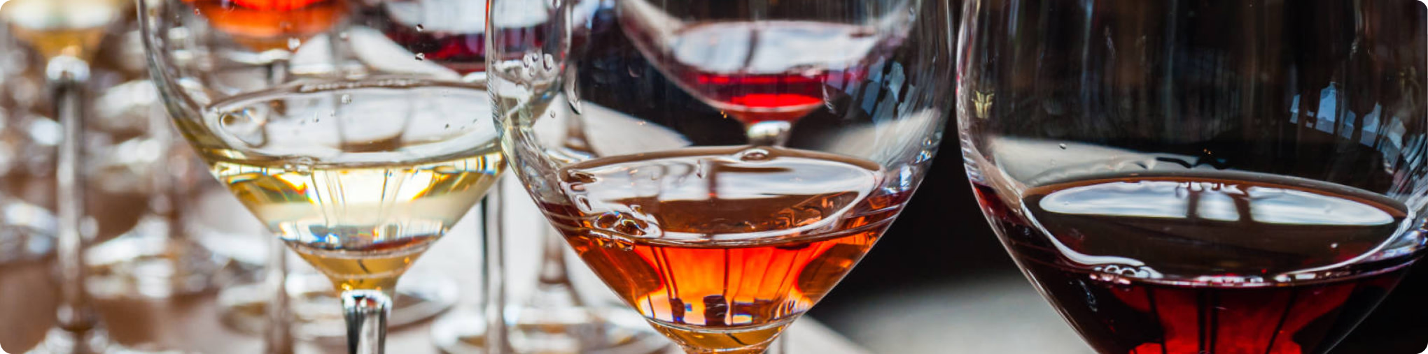 How to host a wine tasting at home
